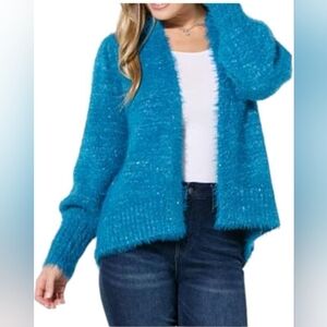 LB70 by Lloyd Boston Blue Puff Sleeve Cardigan Size XL